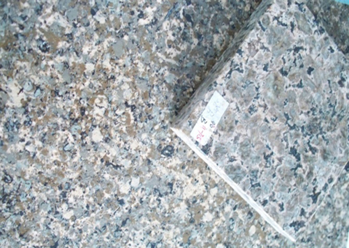 DLS-H022